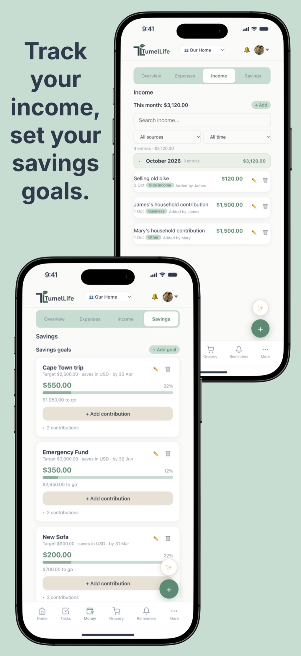 TumelLife income and savings goals with progress